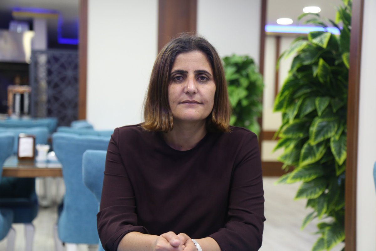 HDP’li Taşdemir, Dr. Ekmekçi'nin iddialarını Yanık'a sordu