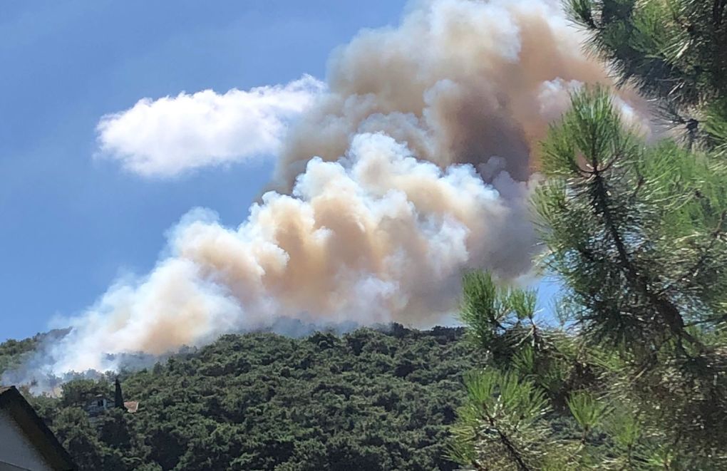 Forest fire on İstanbul's Princes' Islands