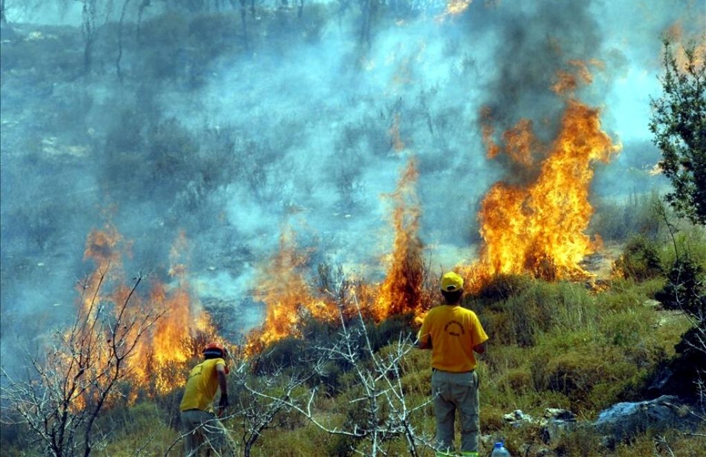 HDP'li Ersoy'un orman yangınları önergesine TBMM'den ret