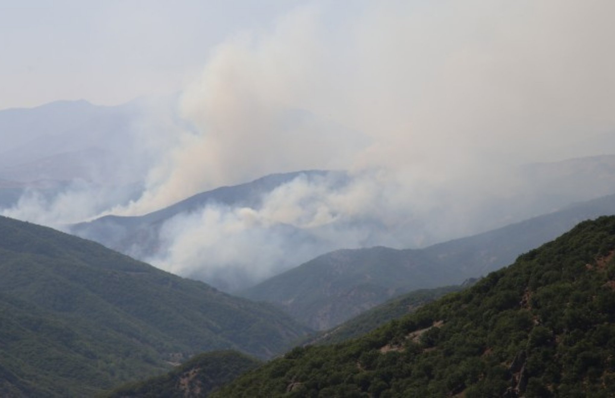 Government agencies not allowed to respond to wildfires in Dersim, says mayor