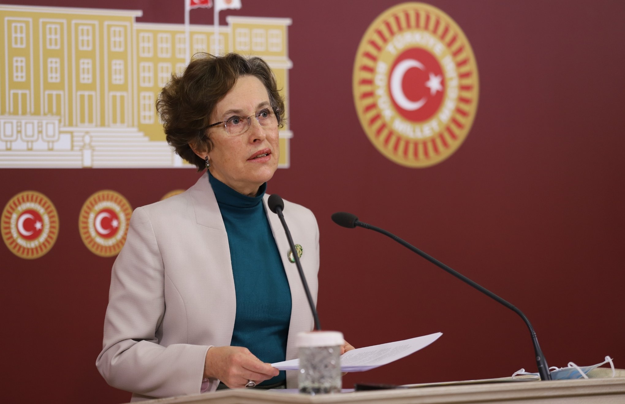 HDP brings missing people to Parliamentary agenda