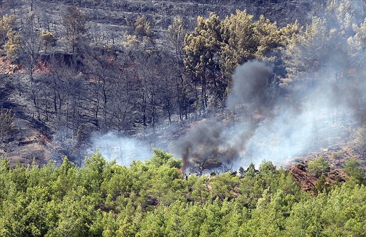 Ministry permits hotel project on Muğla's burned forest areas