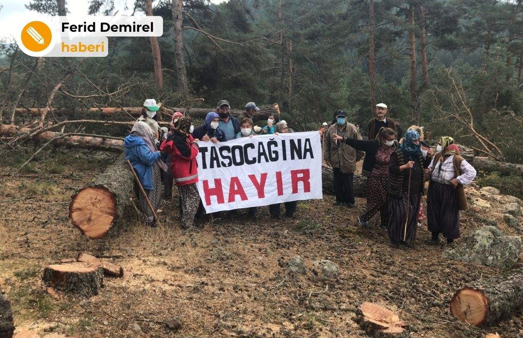 Ayman Yaylasında 1500 ağaç kesilecek, köylüler eylemde