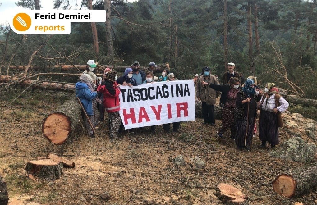 1,500 trees to be cut down in Ayman Highland, villagers protesting