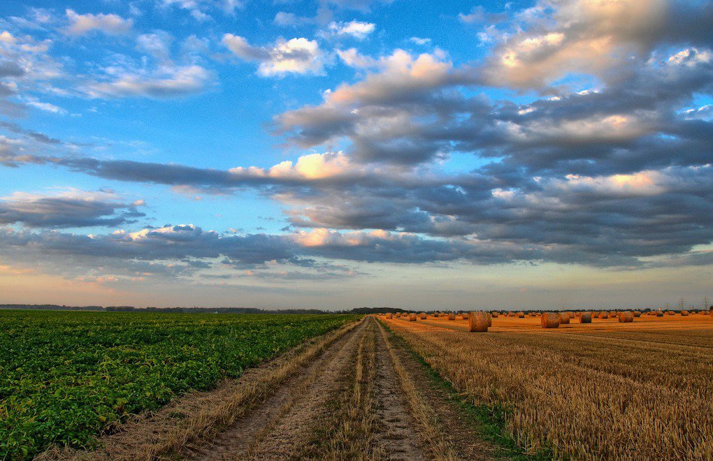 Küresel tarım sübvansiyonları iklim krizini ağırlaştırıyor