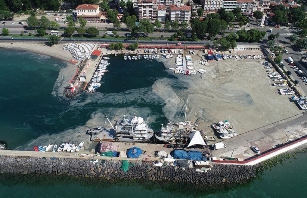 After marine mucilage, Sea of Marmara faces deoxygenization problem