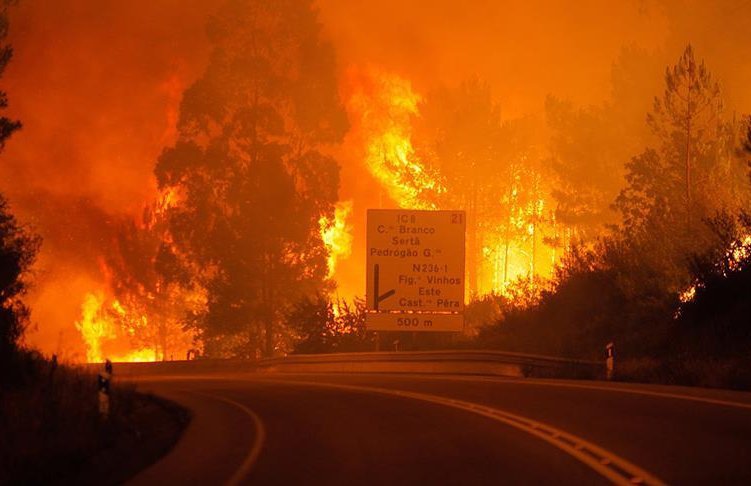 Mediterranean countries sign climate change declaration after summer wildfires
