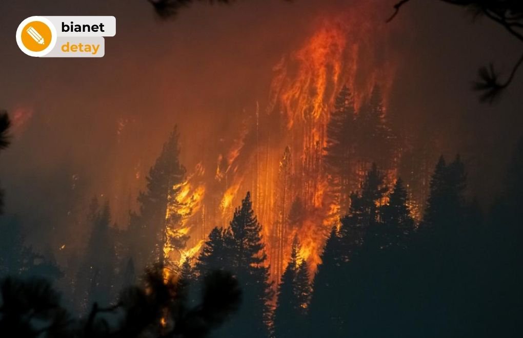 Orman yangınları emisyon rekoru kırdırdı