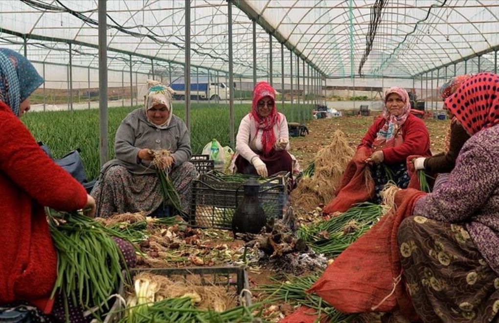 15 Ekim Dünya Kadın Çiftçiler Günü: "Yüzde 95'i sigortasız"