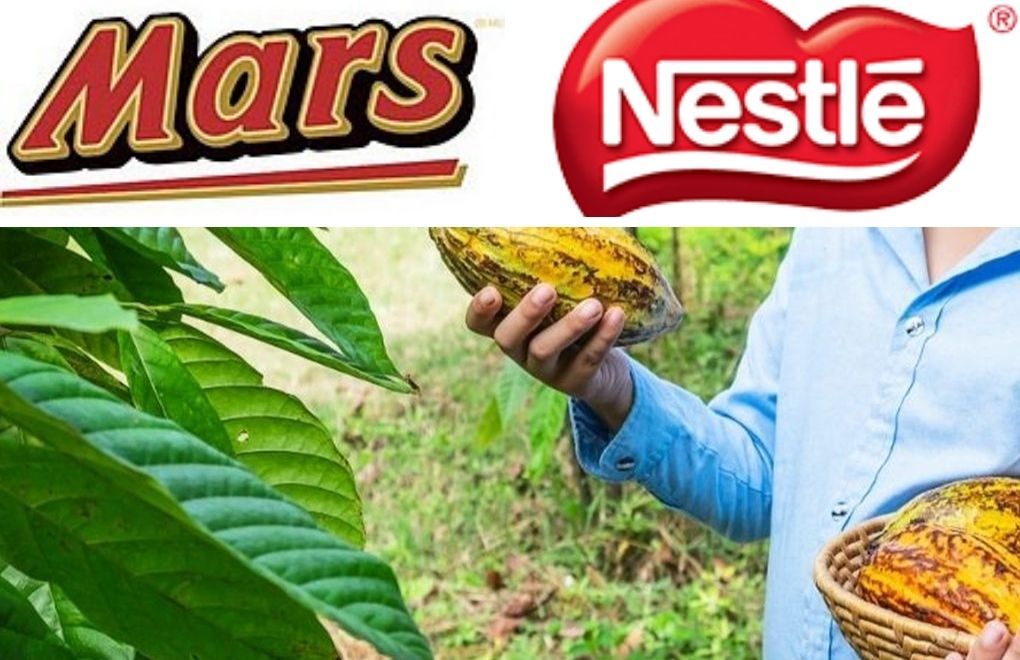 "Kakao şirketleri, tedarik zincirindeki çocuk işçiliğini bilmesi gerekirdi"