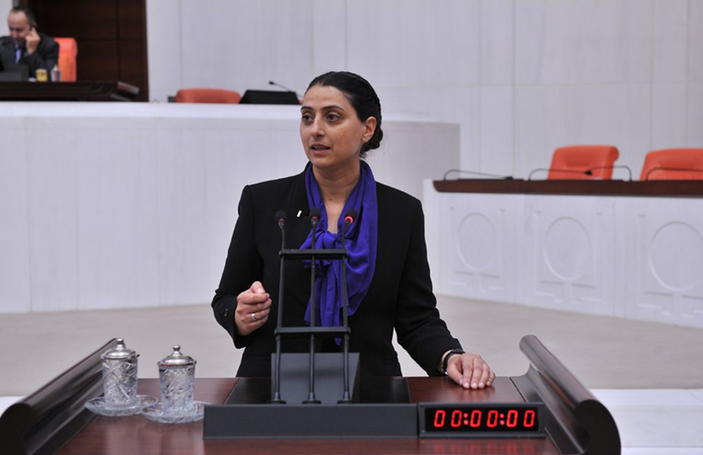 In protest of ban on Kurdish, HDP deputy reads out same speech in Kurdish and German