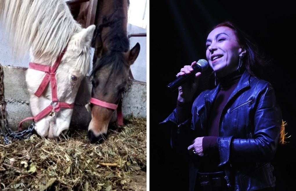Leman Sam'dan ölüme terk edilen atlar için konser
