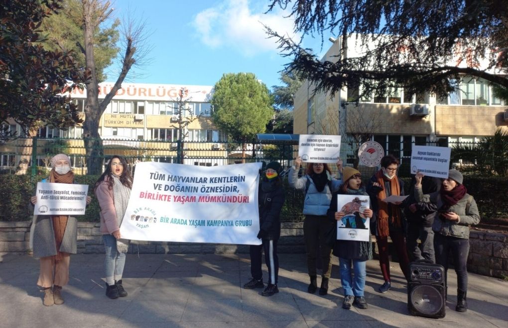 İstanbul ve Ankara’da hayvanların yaşam hakkı için eylem