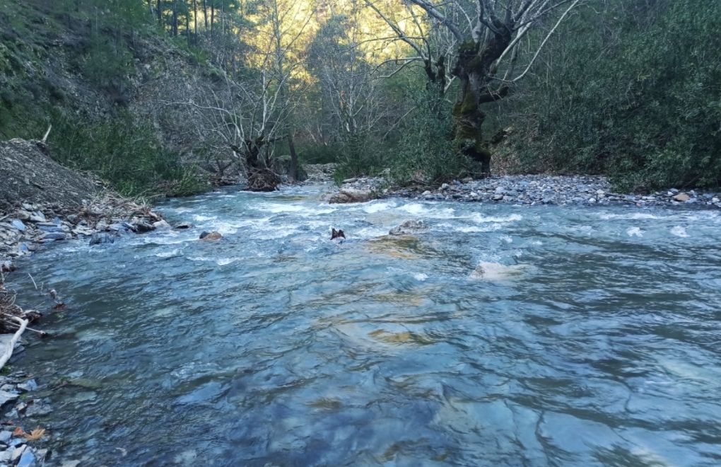 Lawsuit against dam project in Bodrum forests