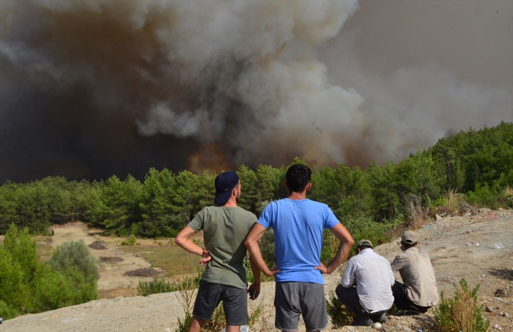 Forests the size of 3,000 football fields razed in wildfires in Turkey in 2020