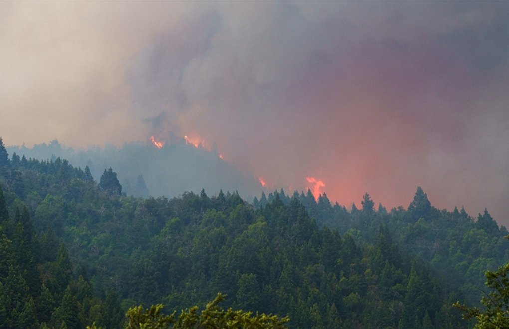 Arjantin'deki orman yangınlarında 785 bin hektardan fazla alan zarar gördü