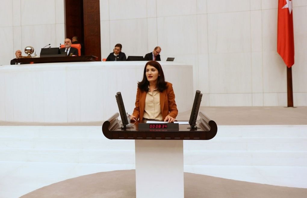Report on HDP's Semra Güzel submitted to General Assembly of the Parliament