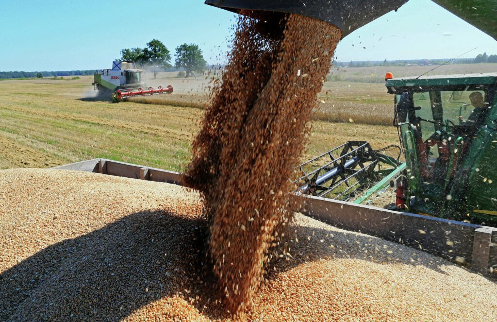 ‘Turkey is on the brink of a wheat, bread crisis; support farmers’