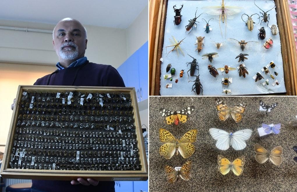 Akademisyenin 4 bin türlük ‘böcek koleksiyonu’ müze bekliyor