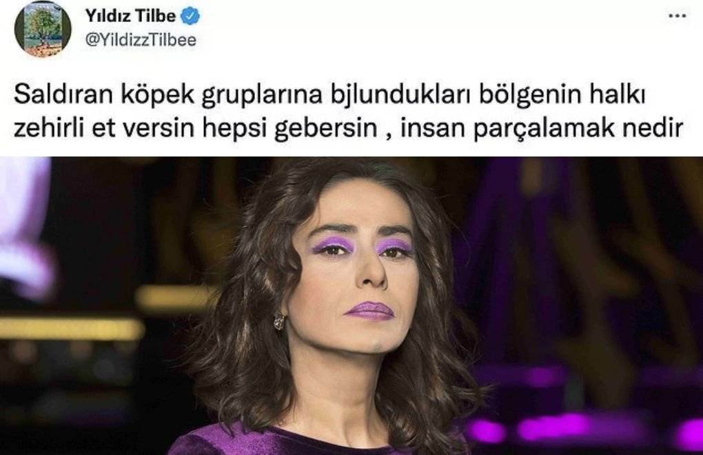 Criminal complaint against singer Yıldız Tilbe for making a call for killing street animals