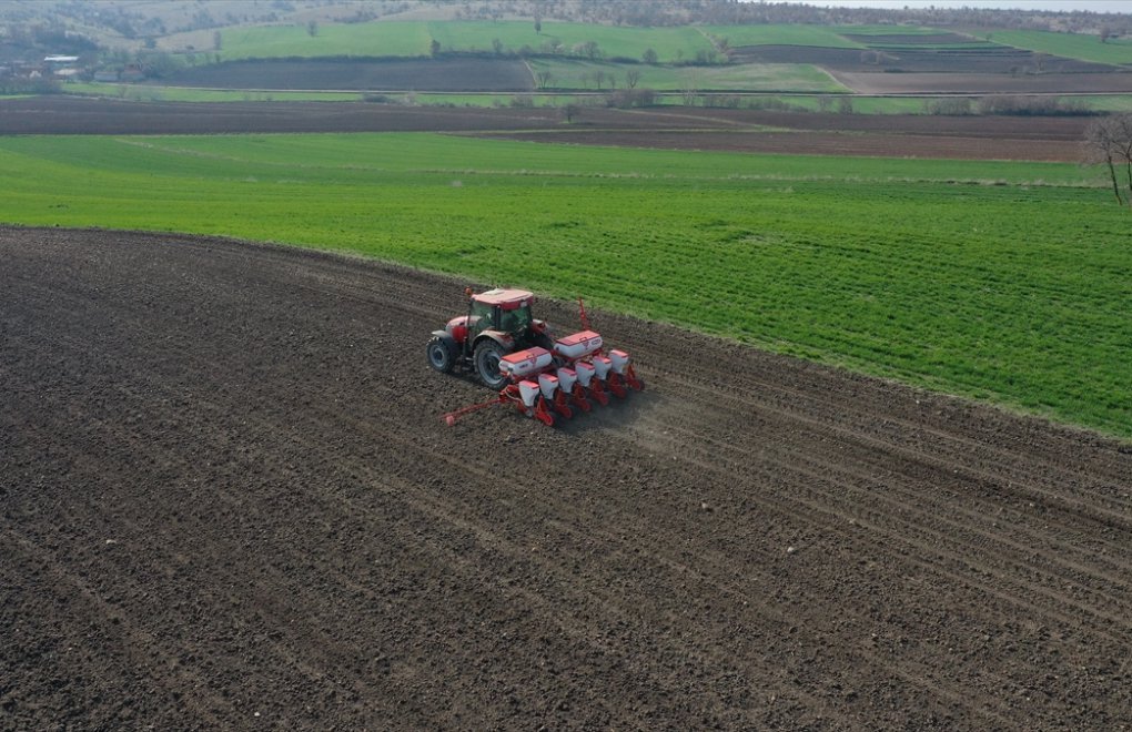 Amid high bread prices, TurkStat says Turkey self-sufficient in agriculture, wheat production
