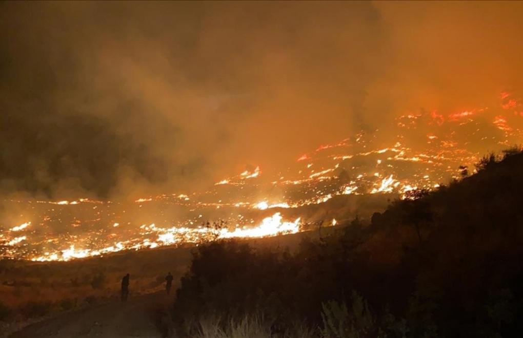 Seventeen forest fires in Muğla in five days