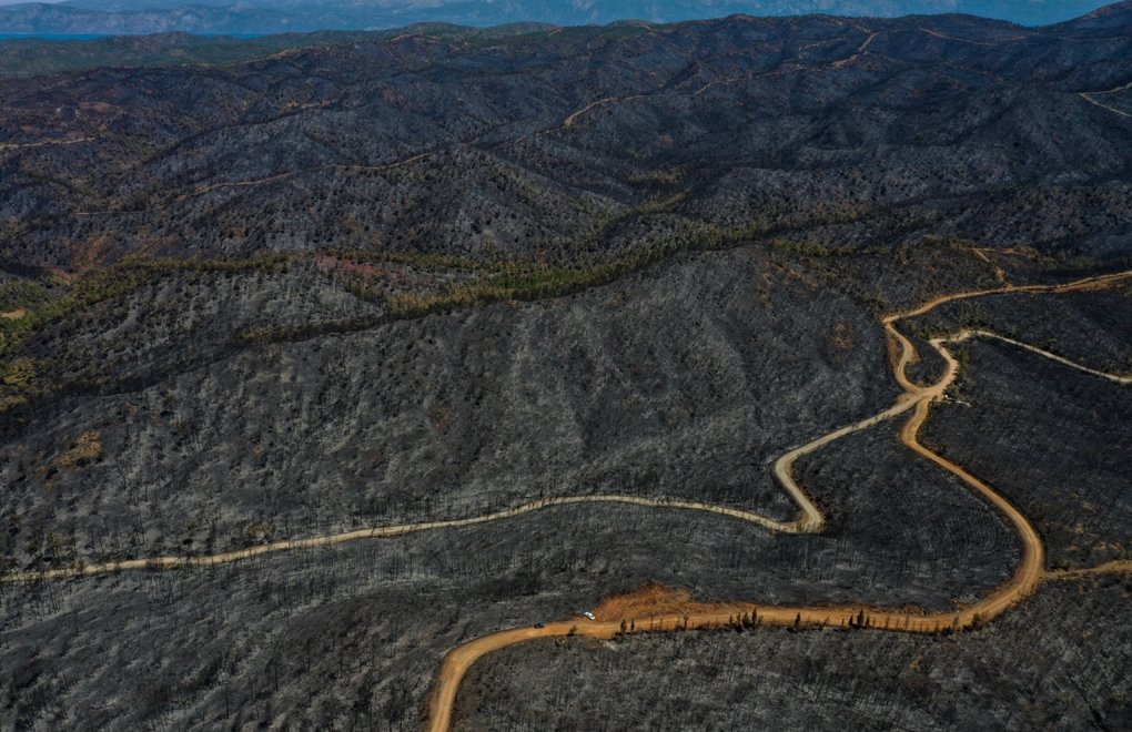Marmaris’teki yangınlarda 4 bin 500 hektarlık orman yandı