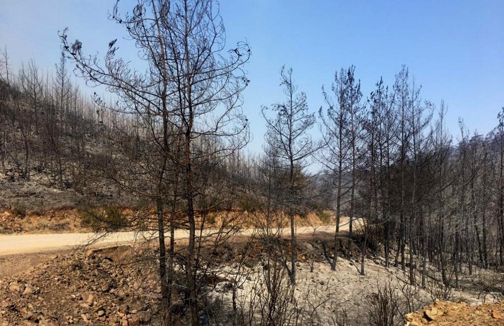 TTB: “Orman yangınları için gerekli önlemler süratle alınmalı”