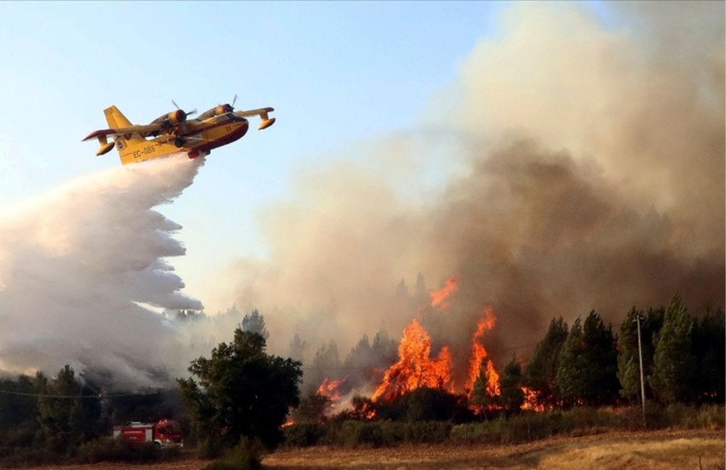 Avrupa’da orman yangınları: “Sanki dünyanın sonu gibiydi”