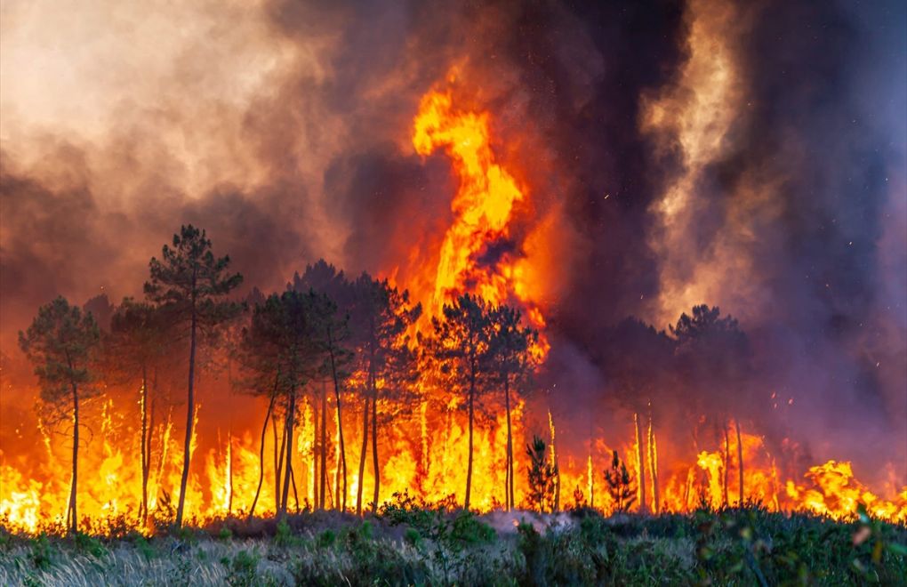 Fransa | "Gironde’da Paris’in 2 katı yeşil alan yandı"
