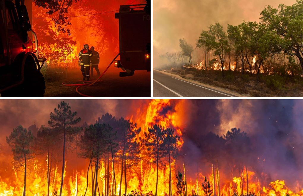 2022'de AB ülkelerinde 2 bine yakın orman yangını