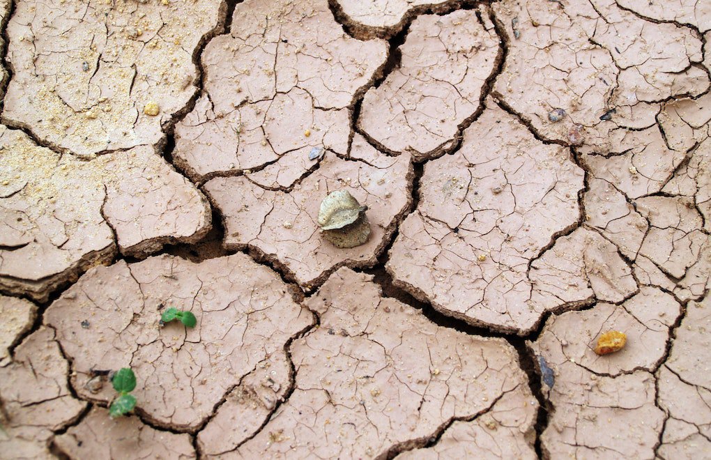 Kuraklık ve su kıtlığı: “Avrupa’nın yeni normali” 