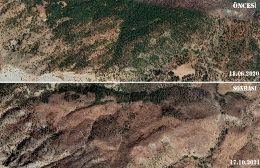Satellite images show extent of deforestation in Şırnak