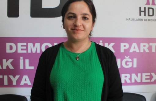 HDP Şırnak co-chair detained