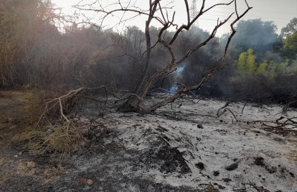 Cezayir’de orman yangınları: 26 kişi hayatını kaybetti