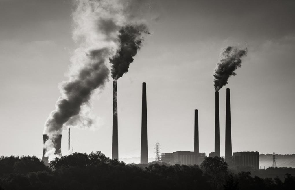 "Karbon yakalama projeleri iklim krizine çözüm değil"