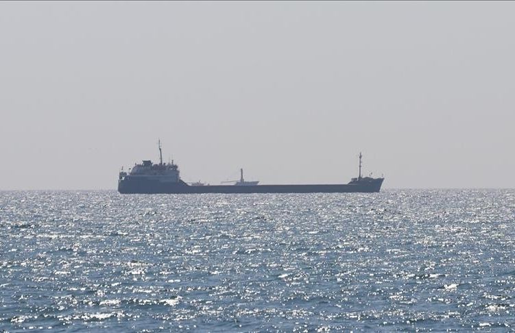 Six more ships left Ukraine under grain deal, says ministry