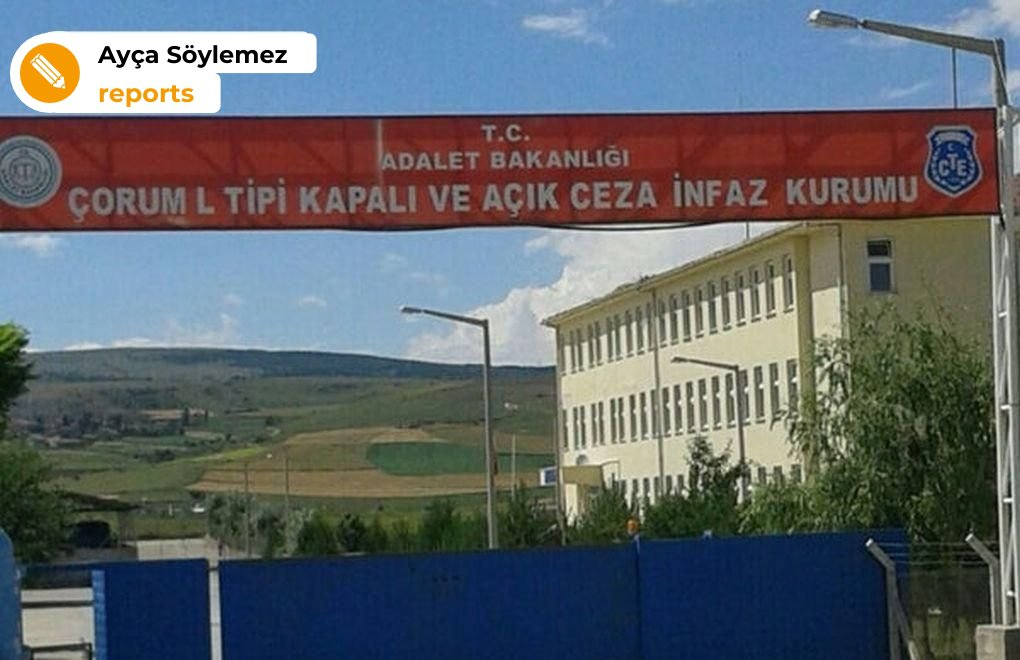 Prisoners at Çorum open prison forced to work but not allowed to study
