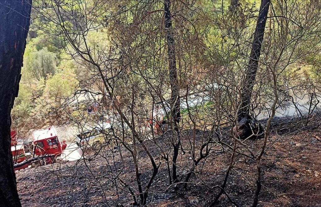 Antalya’daki orman yangınları endemik bitkilere zarar verdi
