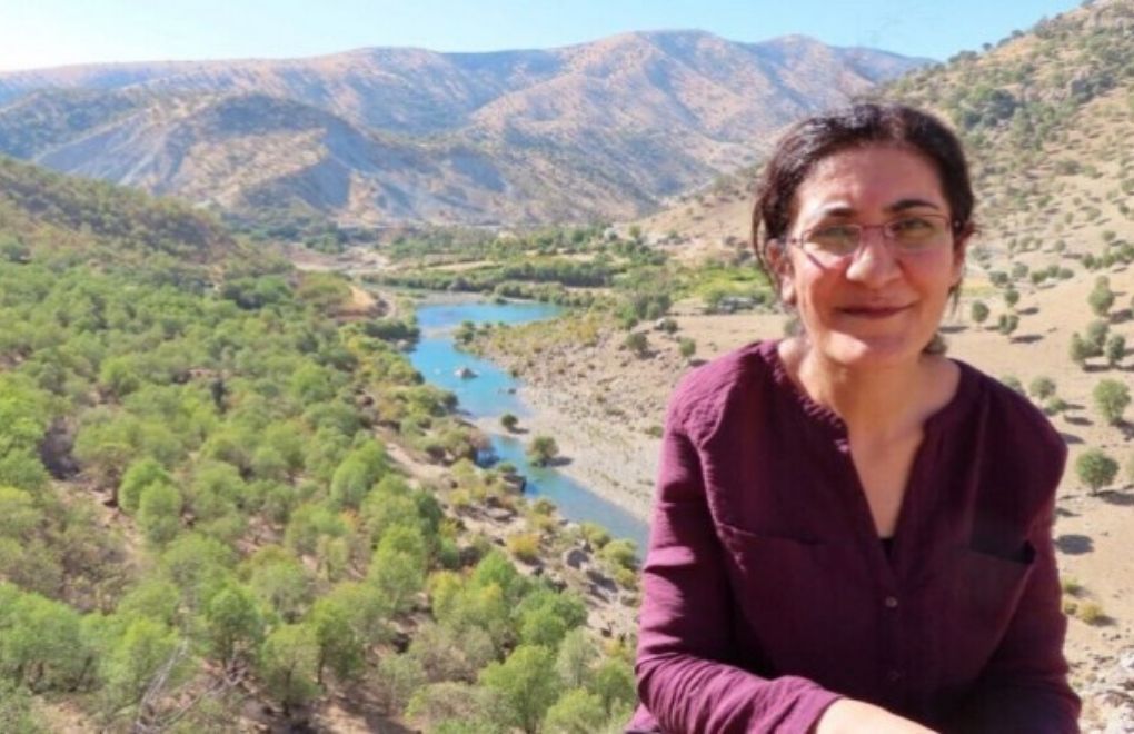Remarks of senior diplomat about killing of Kurdish journalist on parliamentary agenda