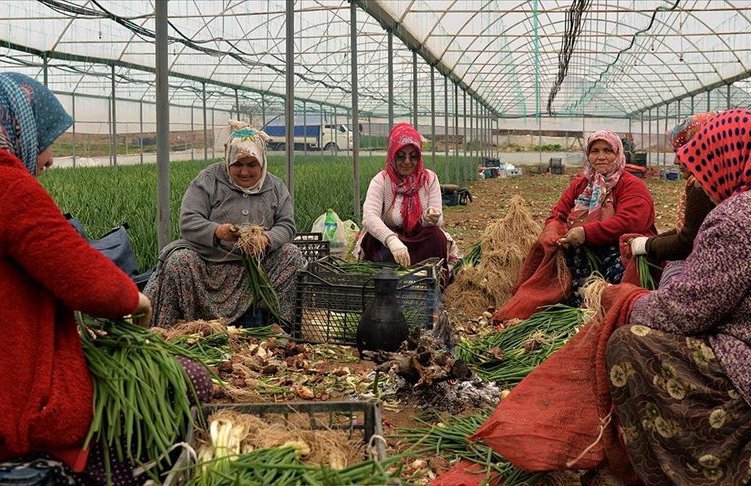 Women’s position in Türkiye’s agriculture remains fragile despite booming exports