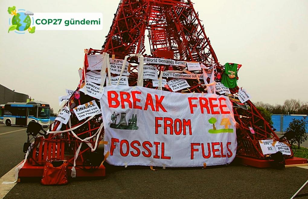 #COP27 | Fosil yakıtların faturasını ağaçlar ödeyemez