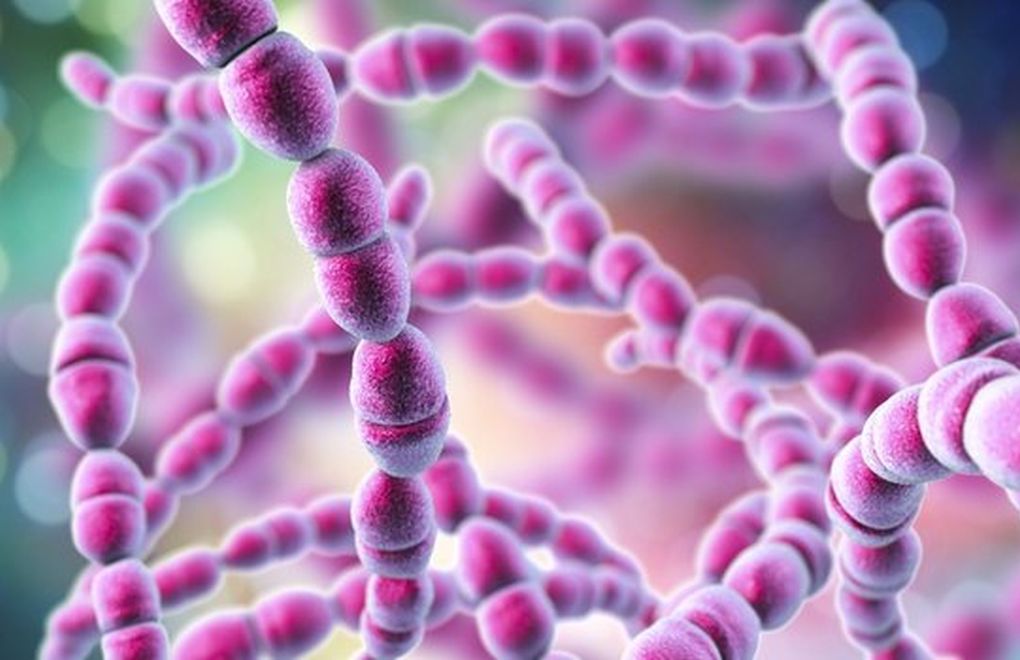  İngiltere'de 6 çocuk Strep A bakterisi nedeniyle yaşamını yitirdi