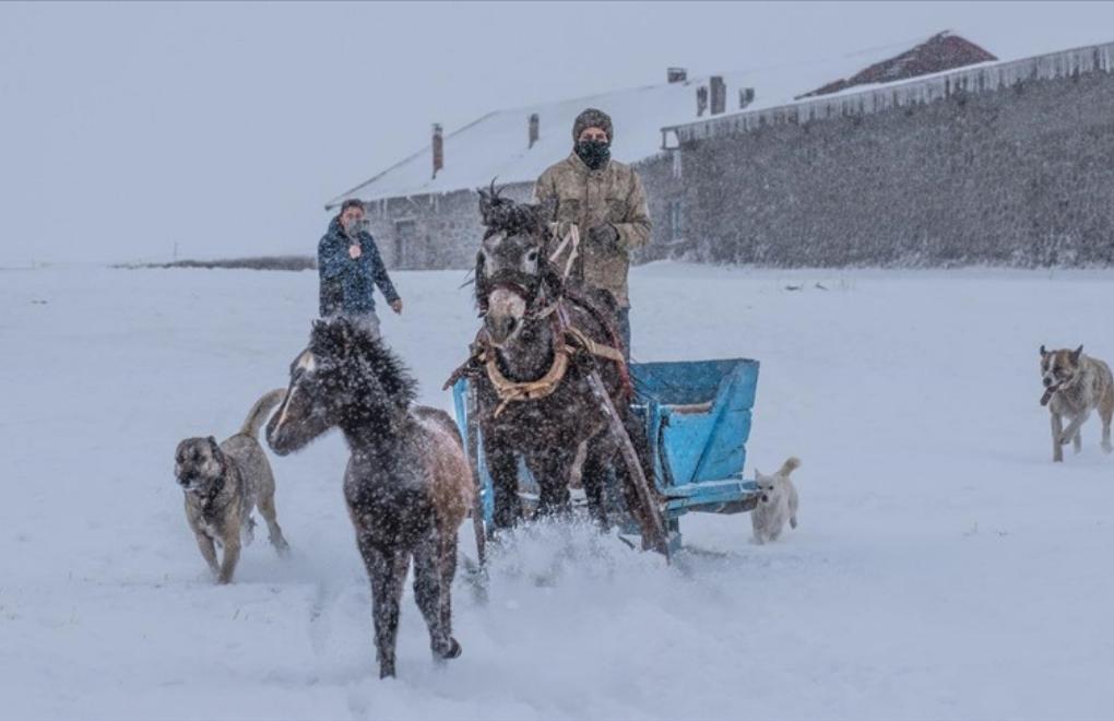 Ardahan, Kars ve Erzurum’da kar yağışı etkili oluyor