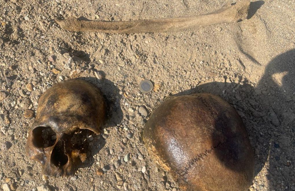 Rights groups demand examination of resurfaced bones in Van