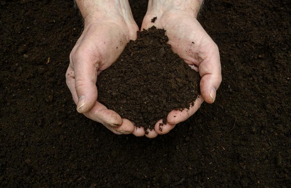 New York, cesetlerden kompost yapılmasına onay veren 6. eyalet oldu
