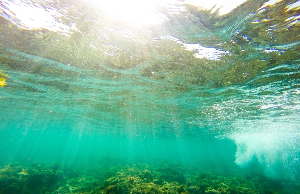 Okyanus sıcaklıkları 2022’de rekor kırdı: “Tüm dünyada korkunç etkileri var”