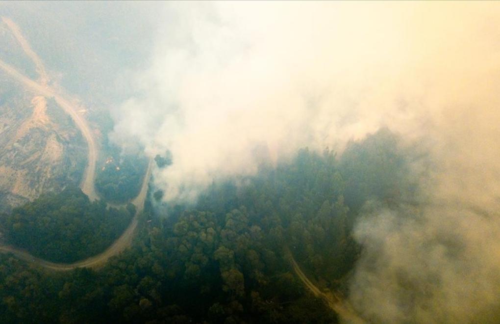 Arjantin’de orman yangınlarında 3 bin hektarlık alan yandı