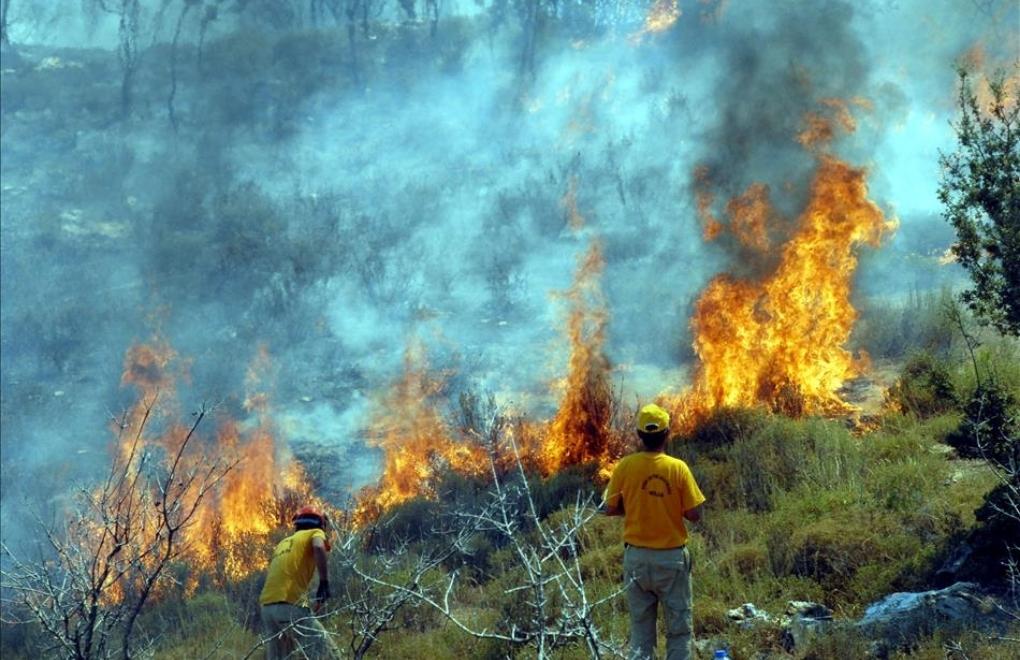 Yeni orman kanunu yasalaştı: Yangında ölenlere “şehitlik” statüsü