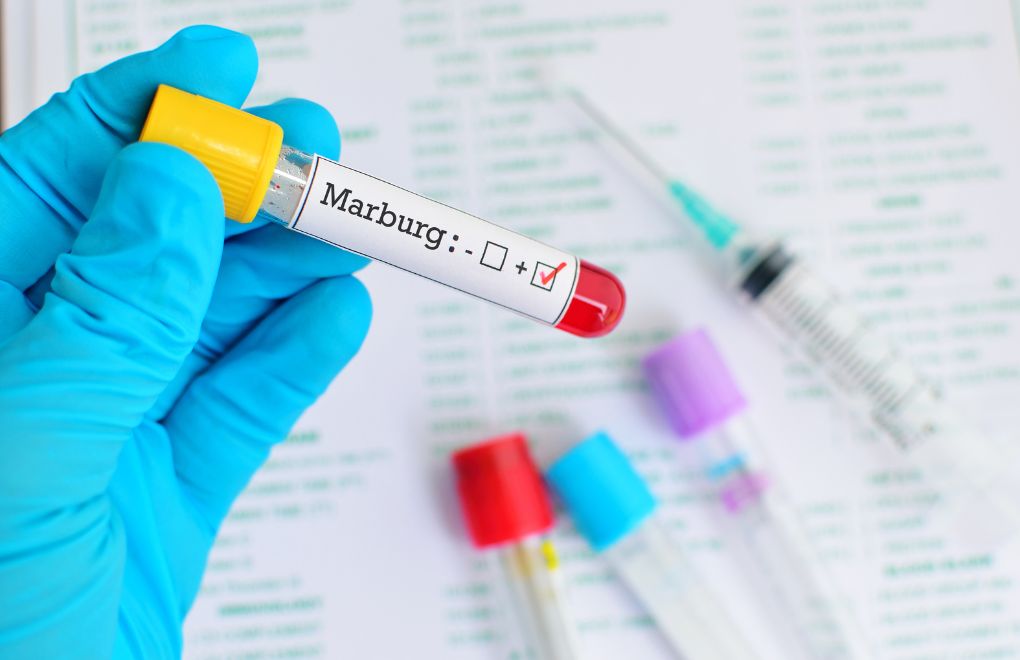 Ekvator Ginesi'nde Marburg virüsü salgını